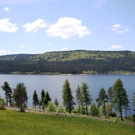 Schwarzwald-kult Schluchsee